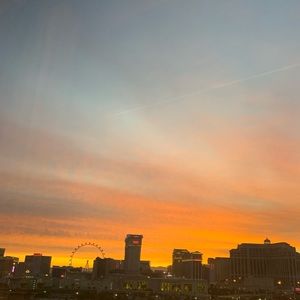 Meet your Posher, Lilly